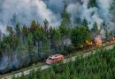 واع / استمرار تصاعد حرائق الغابات في فرنسا
