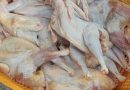 واع / ضبط ٦ اطنان من مادة الدجاج المستورد غير صالحة للاستهلاك البشري في نينوى