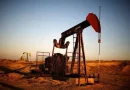 واع / “أوبك”: توترات الشرق الأوسط تبطئ نمو الطلب العالمي على النفط