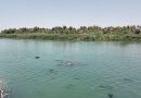 واع / النجف الأشرف تتخذ حزمة إجراءات للحد من تلوث نهر الفرات
