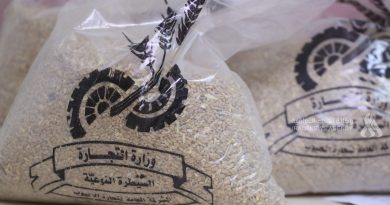 واع / الزراعة: العراق يعتمد بذوراً غير معدلة وراثياً بالكامل ورقابة حكومية لجميع حلقات الإنتاج