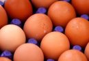 واع / الزراعة: إنتاج البيض يصل إلى 6 مليارات بيضة سنوياً وخطة لتحقيق الاكتفاء الذاتي