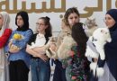 واع / السليمانية تقيم مهرجان لاختيار ملكات جمال القطط