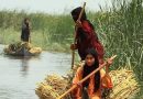 واع /ثلاثة أفلام عراقية توثق حكاية الأهوار في مهرجان تورنتو السينمائي
