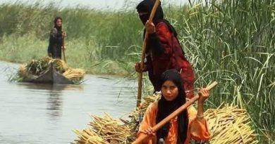 واع /ثلاثة أفلام عراقية توثق حكاية الأهوار في مهرجان تورنتو السينمائي