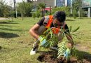 واع / بلدية الموصل.. انطلاق أعمال الموسم الزراعي الخريفي لعام 2026