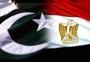 واع/ مصر وباكستان تؤكدان أهمية العودة لتنفيذ الاتفاق المؤقت لإنهاء حرب إيران