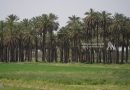 واع / الدوري الممتاز.. 3 انتصارات وتعادل في منافسات الجولة الثامنة