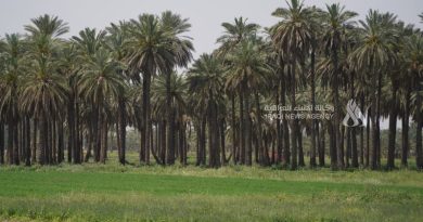 واع / الدوري الممتاز.. 3 انتصارات وتعادل في منافسات الجولة الثامنة